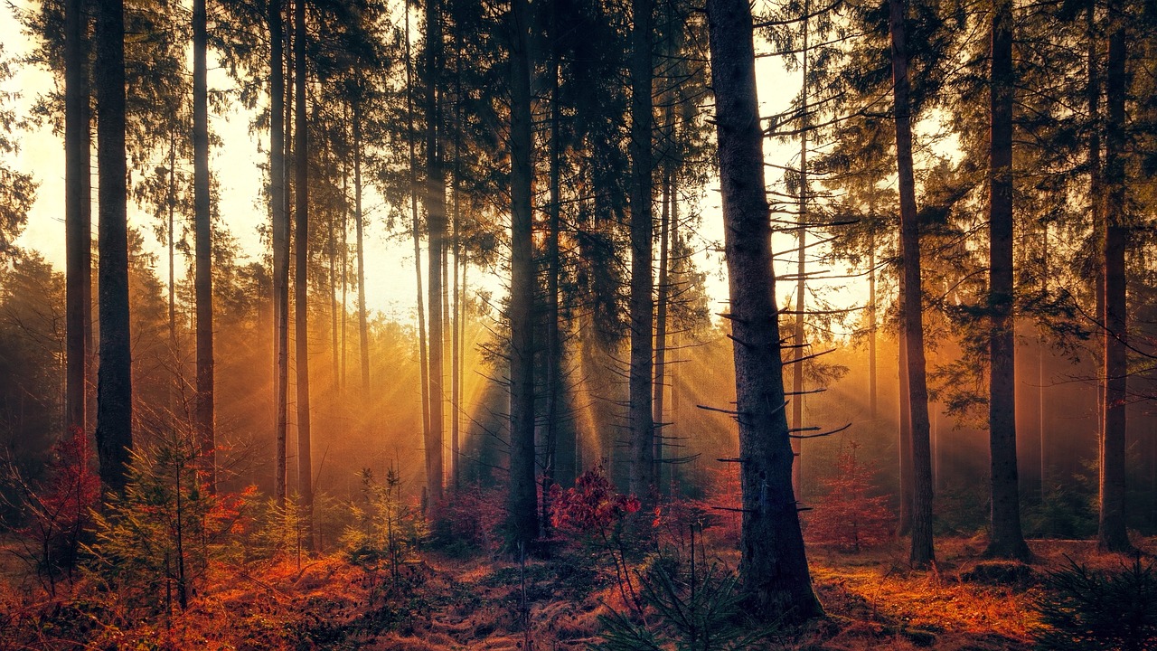 Natuuropleiding - Natuurexpeditie