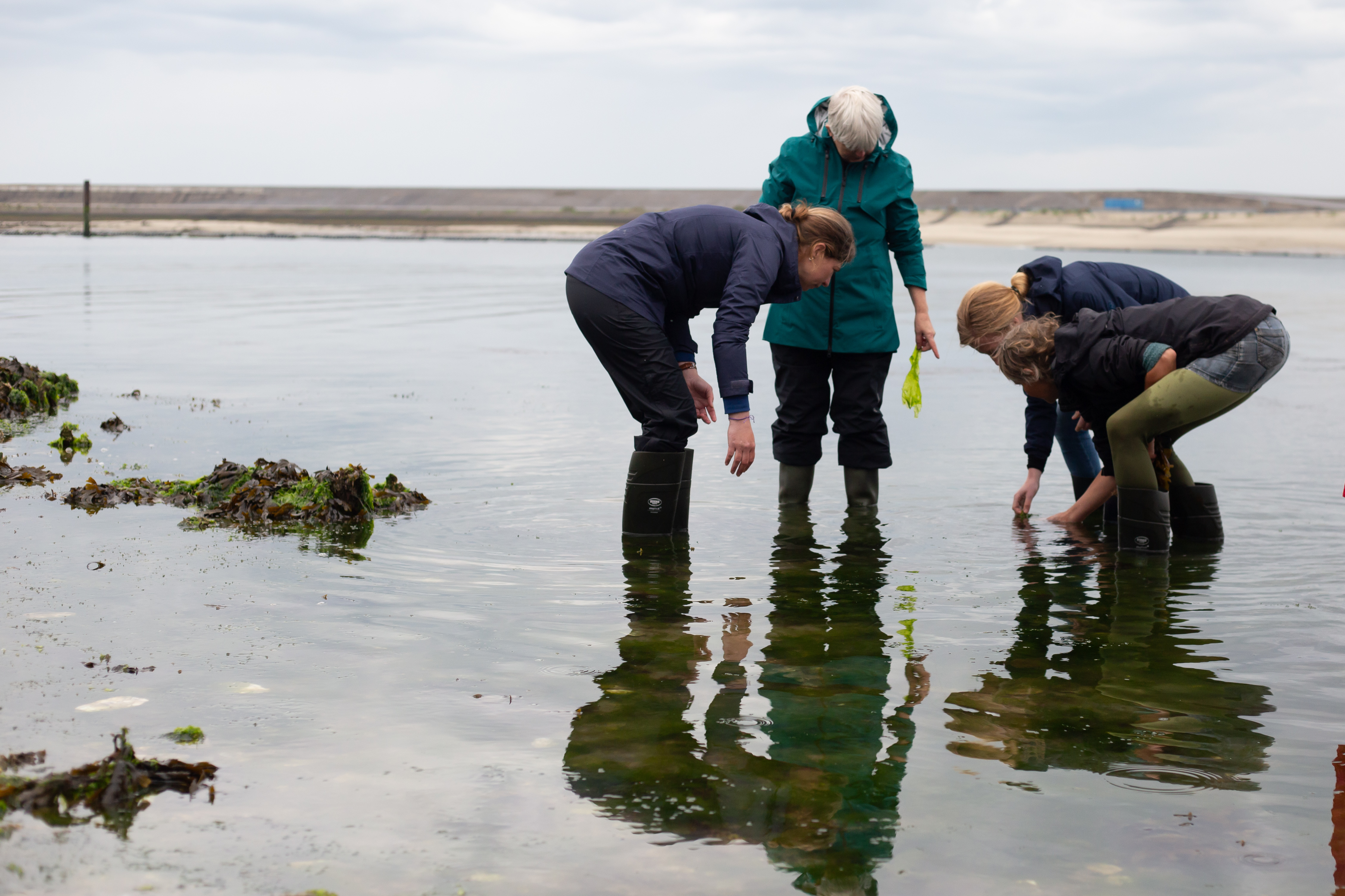 Natuuropleiding: Mensen buiten op steenstrand uitleg