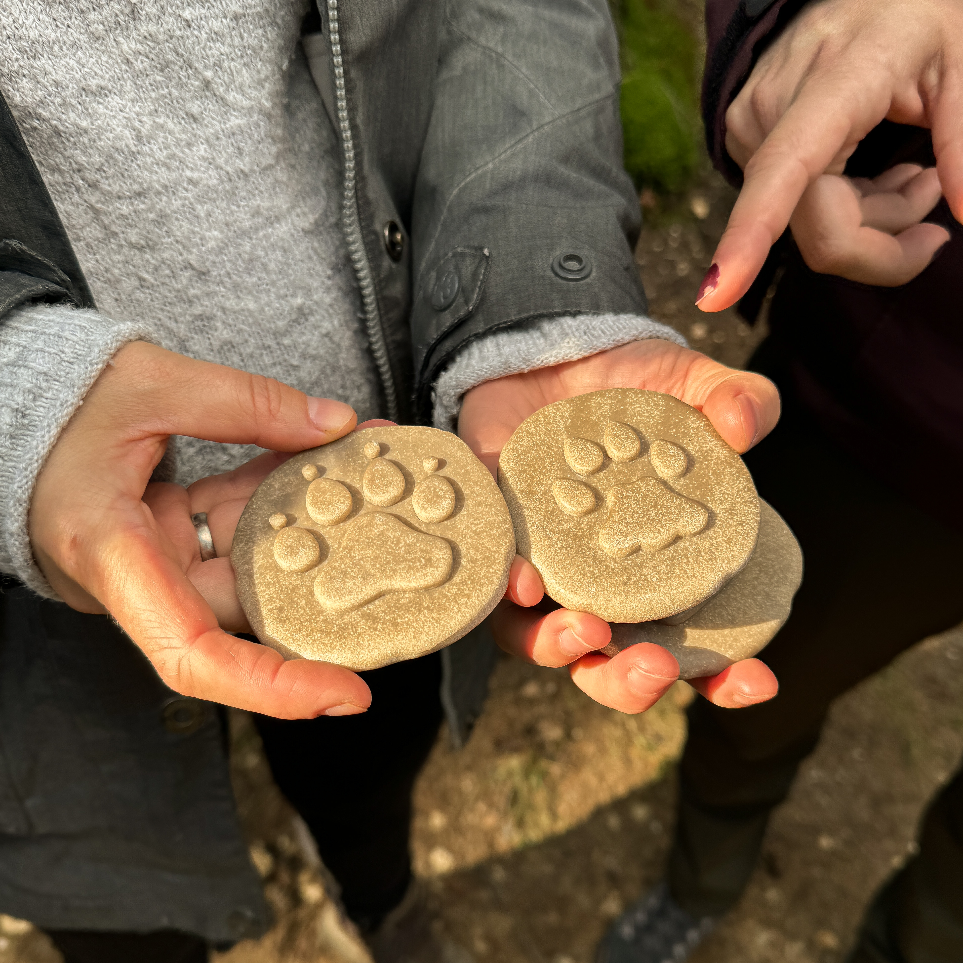 Natuuropleiding: Kikker op hand